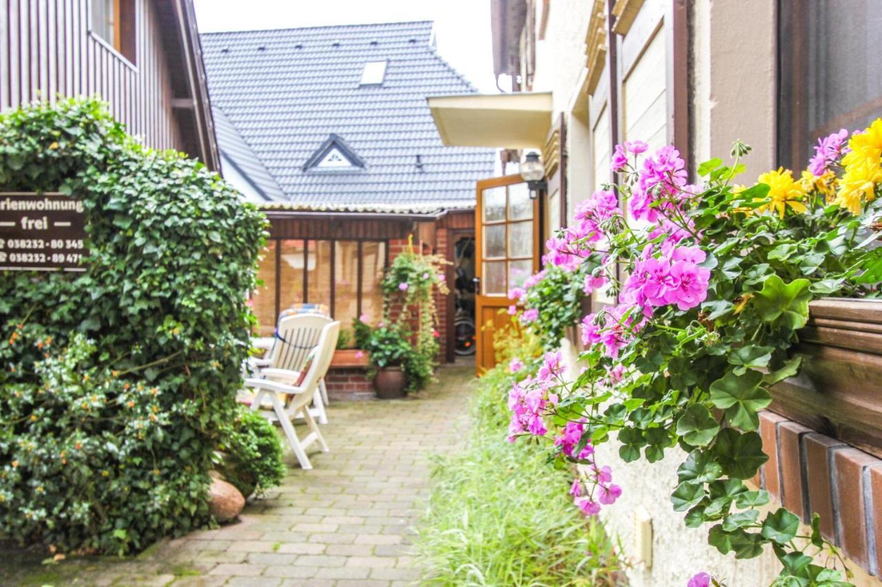 Likedeeler 5 Apartment Zingst Ngoại thất bức ảnh