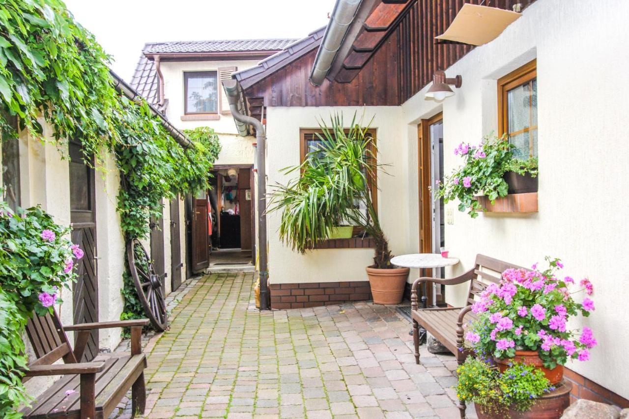 Likedeeler 5 Apartment Zingst Ngoại thất bức ảnh